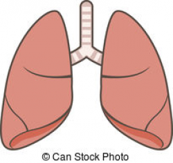 Lung Clipart | Clipart Panda - Free Clipart Images