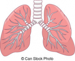 Lung Clip Art | Clipart Panda - Free Clipart Images