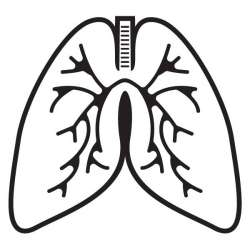 Lungs Clipart | sewing | Clip art, Lung anatomy, Lunges