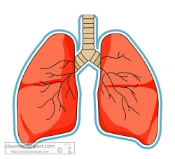 Human lung clipart 20 free Cliparts | Download images on ...