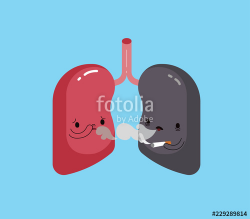 Bad healthy of lung and good healthy of lung, vector ...
