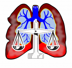 Free Lung Clipart Black And White, Download Free Clip Art ...