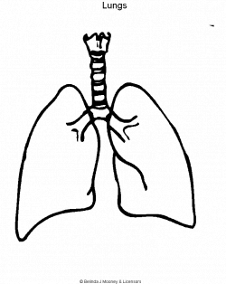 Lung Outline Clipart