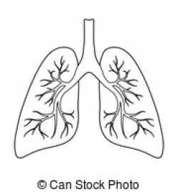 Lung clipart black and white 3 » Clipart Portal