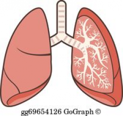 Lungs Clip Art - Royalty Free - GoGraph