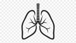 Lungs Icon - Lung Logo Clipart (#3295706) - PinClipart