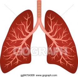 Vector Art - Human lungs organ. EPS clipart gg94754309 - GoGraph
