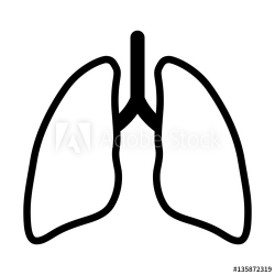 Human lung / pair of lungs line art vector icon for app and ...