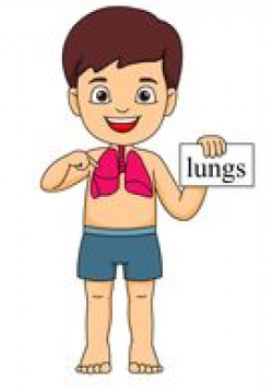 Lung Clipart | Clipart Panda - Free Clipart Images