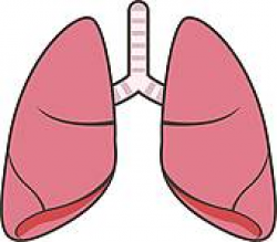 Lung Clipart | Free download best Lung Clipart on ClipArtMag.com