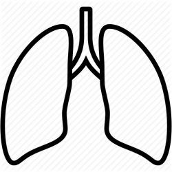 Lungs Clipart | Free download best Lungs Clipart on ...