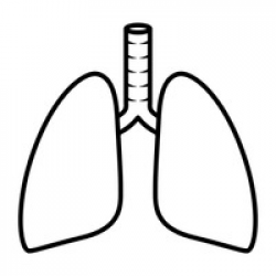 Lungs Outline Cliparts - Cliparts Zone