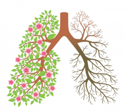 Smoking cessation Lung Tobacco smoking Clip art - Cartoon tree ...