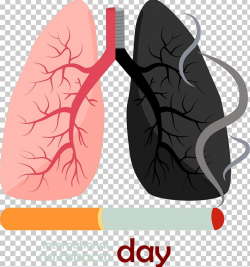 Smoking Lung Euclidean Cigarette PNG, Clipart, Black Lungs ...