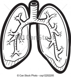 65+ Lungs Clipart | ClipartLook