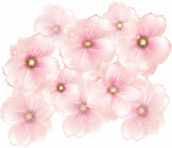 Pink Flowers Transparent Clipart | Gallery Yopriceville - High ...