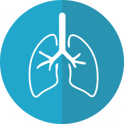 Medicamento para Fibrosis Pulmonar Idiopática recibe Designación de ...