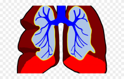 Sick Clipart Lung - Lungs Clip Art - Png Download (#705682 ...