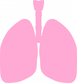 Free Lungs Outline Cliparts, Download Free Clip Art, Free ...