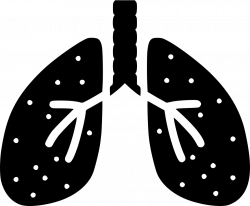 Lungs Svg Png Icon Free Download (#493767) - OnlineWebFonts.COM
