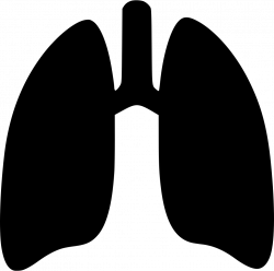 Lungs Svg Png Icon Free Download (#490895) - OnlineWebFonts.COM