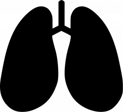 Anatomy Detoxification Hepatology Lungs Breathe Pulmonology Medical ...