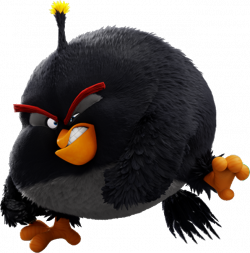Bomb/Image Gallery | Pinterest | Angry birds, Galleries and Illustrators