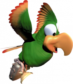Squawks the Parrot | MarioWiki | FANDOM powered by Wikia