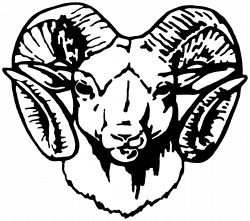 Ram Head Drawing at GetDrawings.com | Free for personal use Ram Head ...