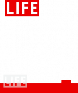 LIFE Magazine Cover - Dryden Art