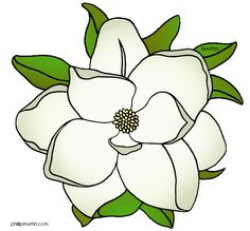 Magnolia Flower Clip Art Louisiana state flower - | Flower Vectors ...