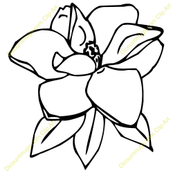 Magnolia Flower Clip Art | Art - Reference Magnolia | Pinterest ...