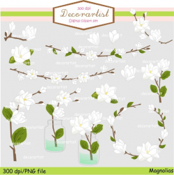 Flowers Magnolia clipart, White flowers clipart, Flower Border Clipart,  White wedding flowers clip art,white, green,INSTANT Download