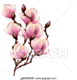 EPS Illustration - Magnolia branch isolated. Vector Clipart ...