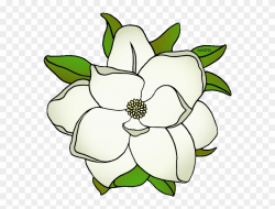 State Flower Of Mississippi - Magnolia Flowers Clipart Black ...