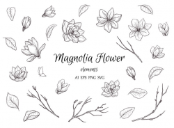 Botanical Magnolia Clipart Hand Drawn Floral Element Leaves Flower Wedding  Foliage Branch Spring Decorate Collection Vector Set PNG EPS SVG