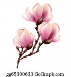 Magnolia Clip Art - Royalty Free - GoGraph