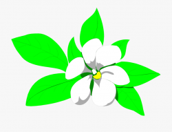 Nature Mogra - Sampaguita Flower Clip Art #557613 - Free ...