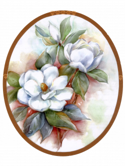 Magnolias | DIY | Pinterest | Magnolia, Decoupage and Flowers