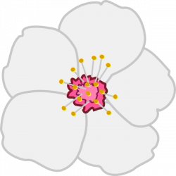 Almond Flower Clip Art at Clker.com - vector clip art online ...