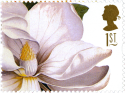 Magnolia Grandflora #SpecialStamp from 1996 'Greeting Stamps: 19th ...