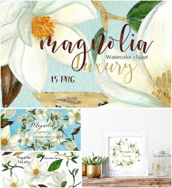 Magnolia watercolor clipart | Free download