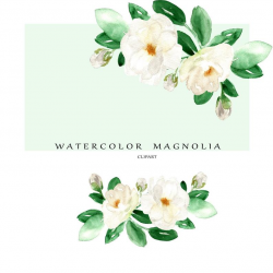 Magnolia Clipart, Watercolor Flower Clipart, White Magnolia Clip Art,  Watercolor Floral Clipart, Watercolor Clipart, Png, Leaves