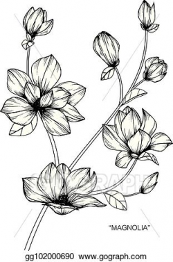 EPS Illustration - Magnolia flower. drawing and sketch with ...