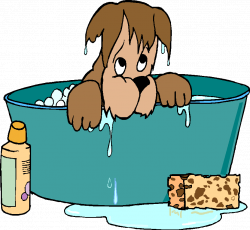 Dog Grooming Clipart (20+)
