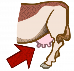 Cow Udders PNG Transparent Cow Udders.PNG Images. | PlusPNG