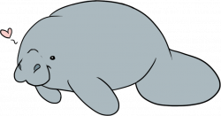 Manatee Clipart | Free download best Manatee Clipart on ClipArtMag.com