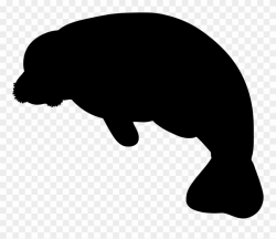 Manatee Clipart Black And White 20 - Manatee Clip Art - Png ...