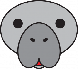 19 Manatee clipart HUGE FREEBIE! Download for PowerPoint ...