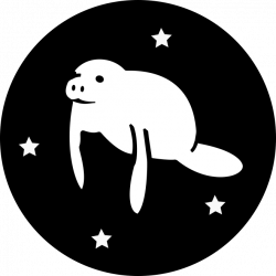Space Manatee Logo by roekrScreen on Newgrounds
